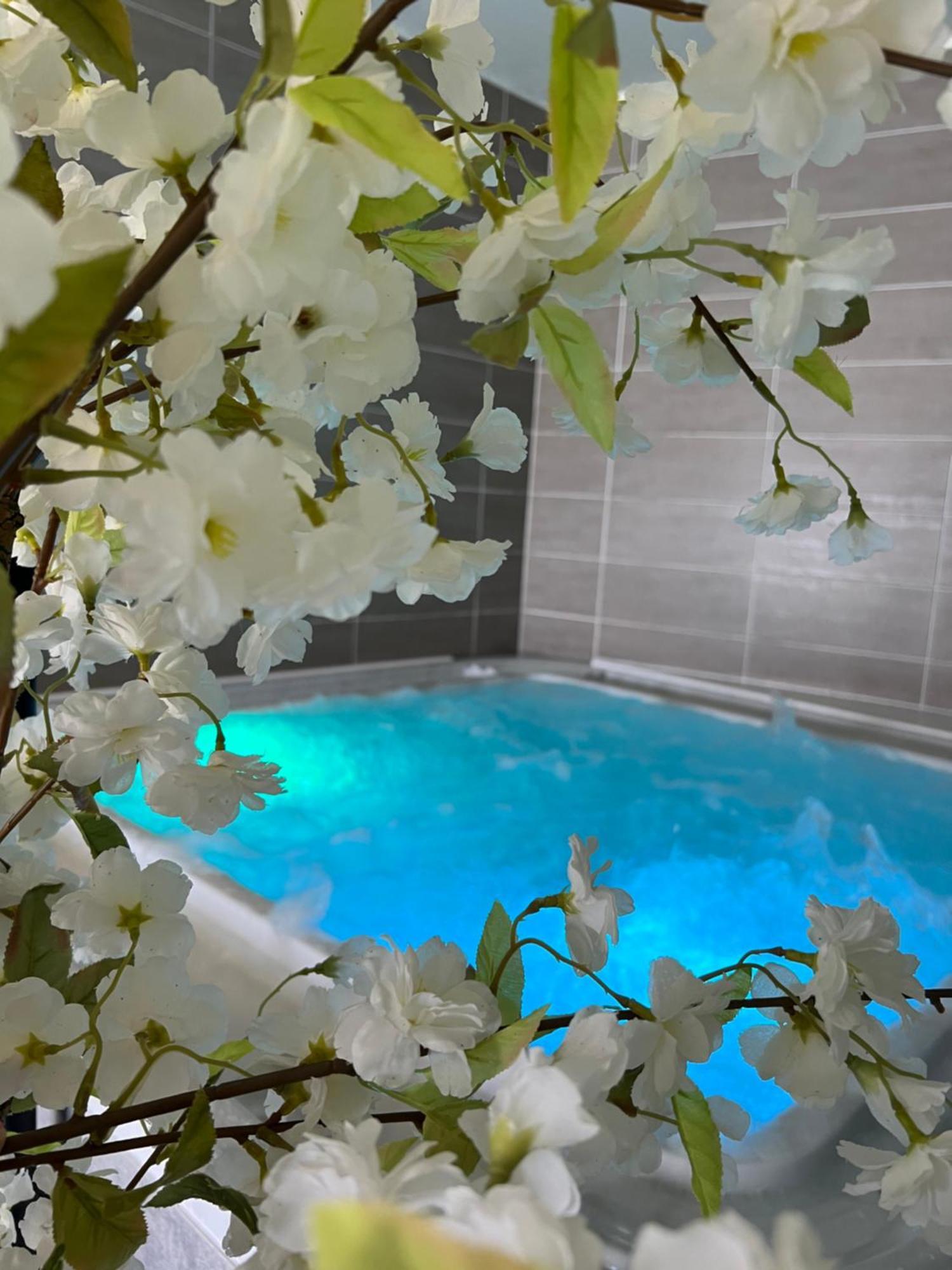 Hotel Calme Des Pins & Spa Les Sables-dʼOlonne 외부 사진